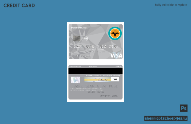 Beispielvorschau der Namibia First National Bank Platinum Visa Kreditkarte